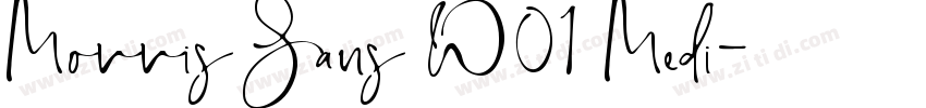Morris Sans W01 Medi字体转换 Morris Sans W01 Medi字体转换